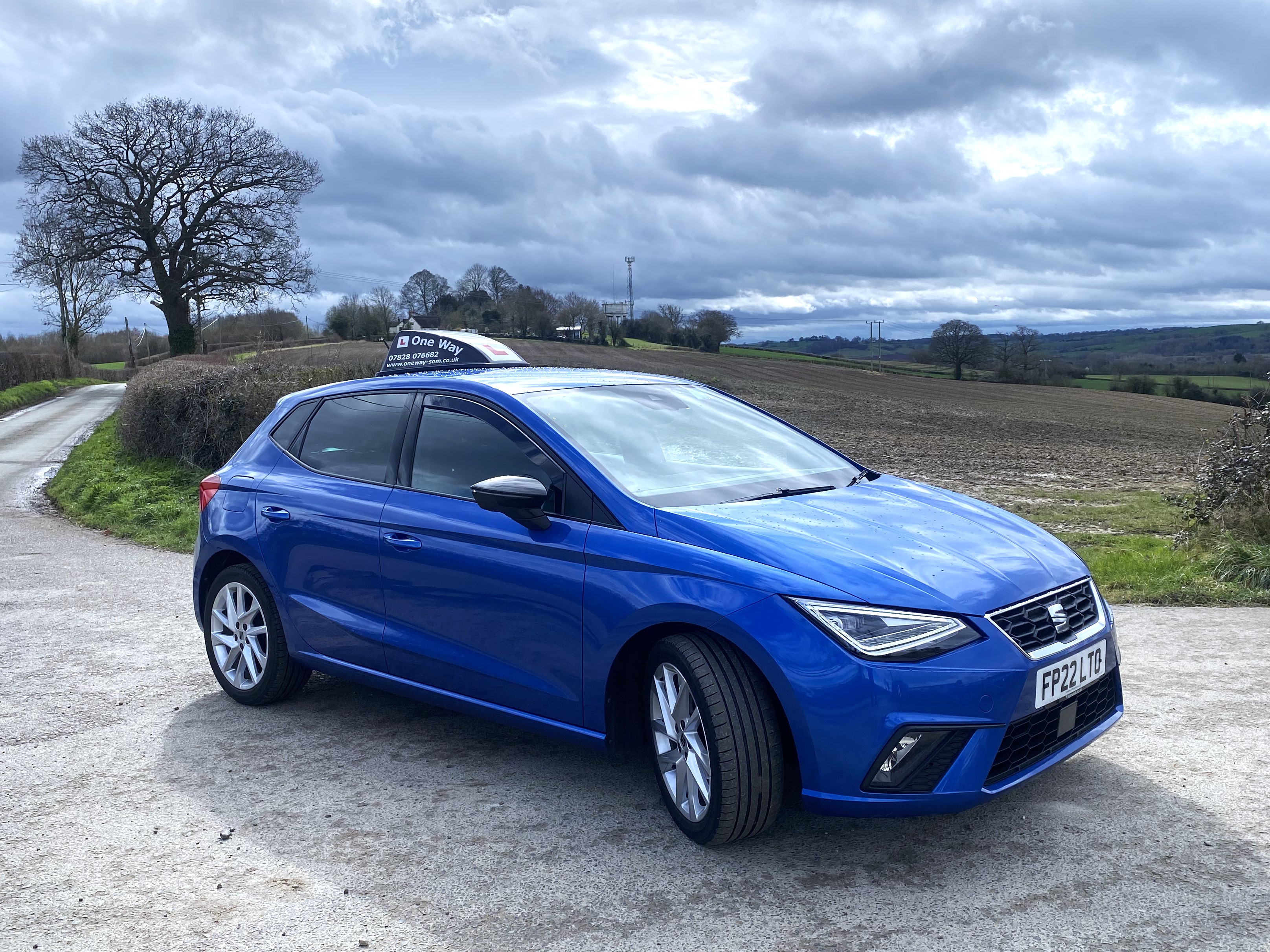 Seat Ibiza FR