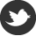 Follow on twitter